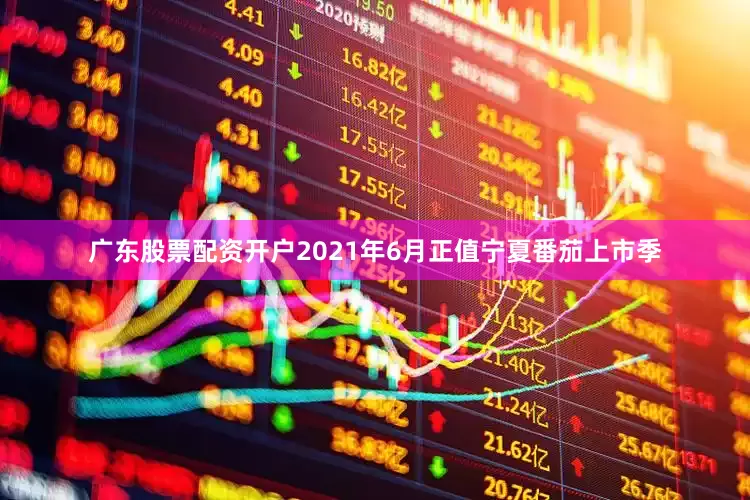 广东股票配资开户2021年6月正值宁夏番茄上市季