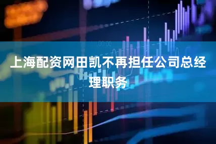 上海配资网田凯不再担任公司总经理职务
