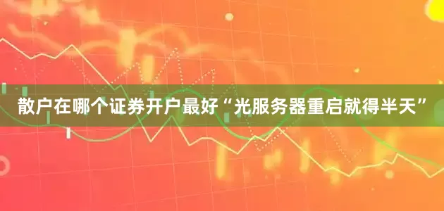 散户在哪个证券开户最好“光服务器重启就得半天”