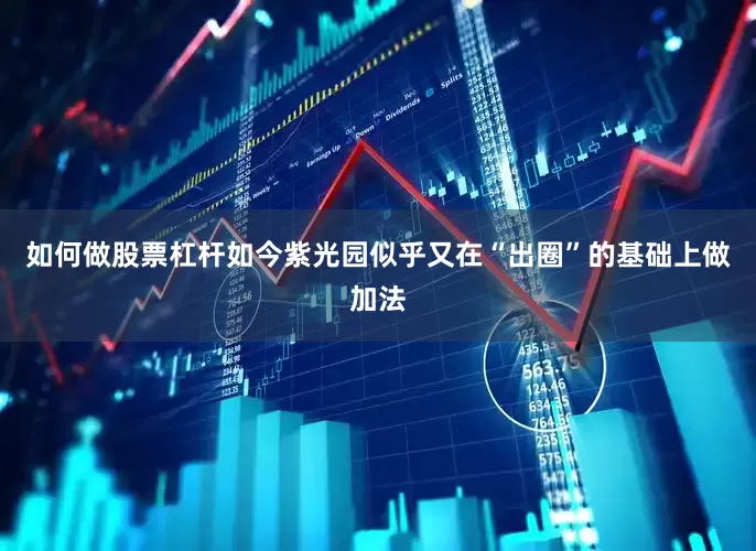 如何做股票杠杆如今紫光园似乎又在“出圈”的基础上做加法